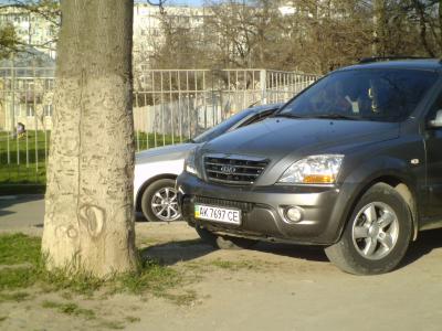 Прикрепленное изображение: P1030964.JPG